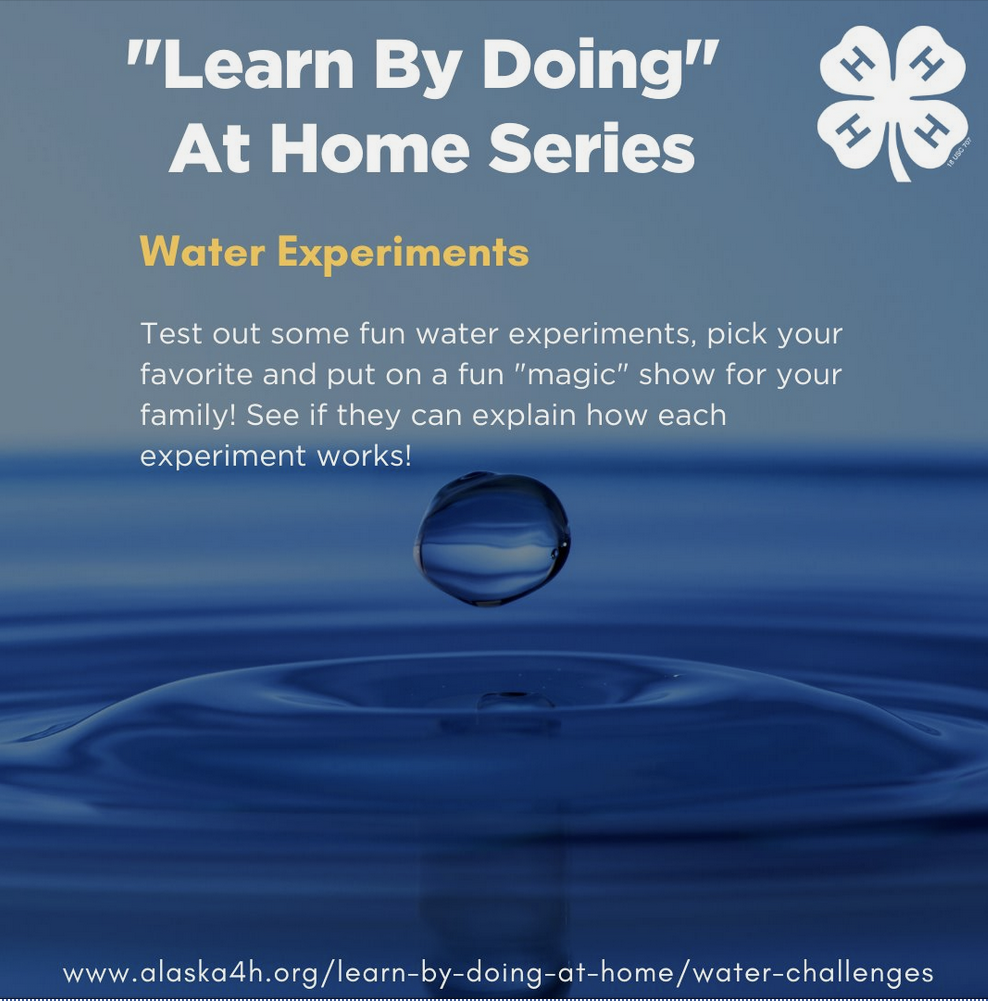 "Learn by doing" At Home series - Water Experiments Test out some fun water experiments, pick your favorite and put on a fun "magic" show for your family. See if they can explain how each experiment works!