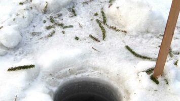 Weed fragments surround a hole drilled in the ice