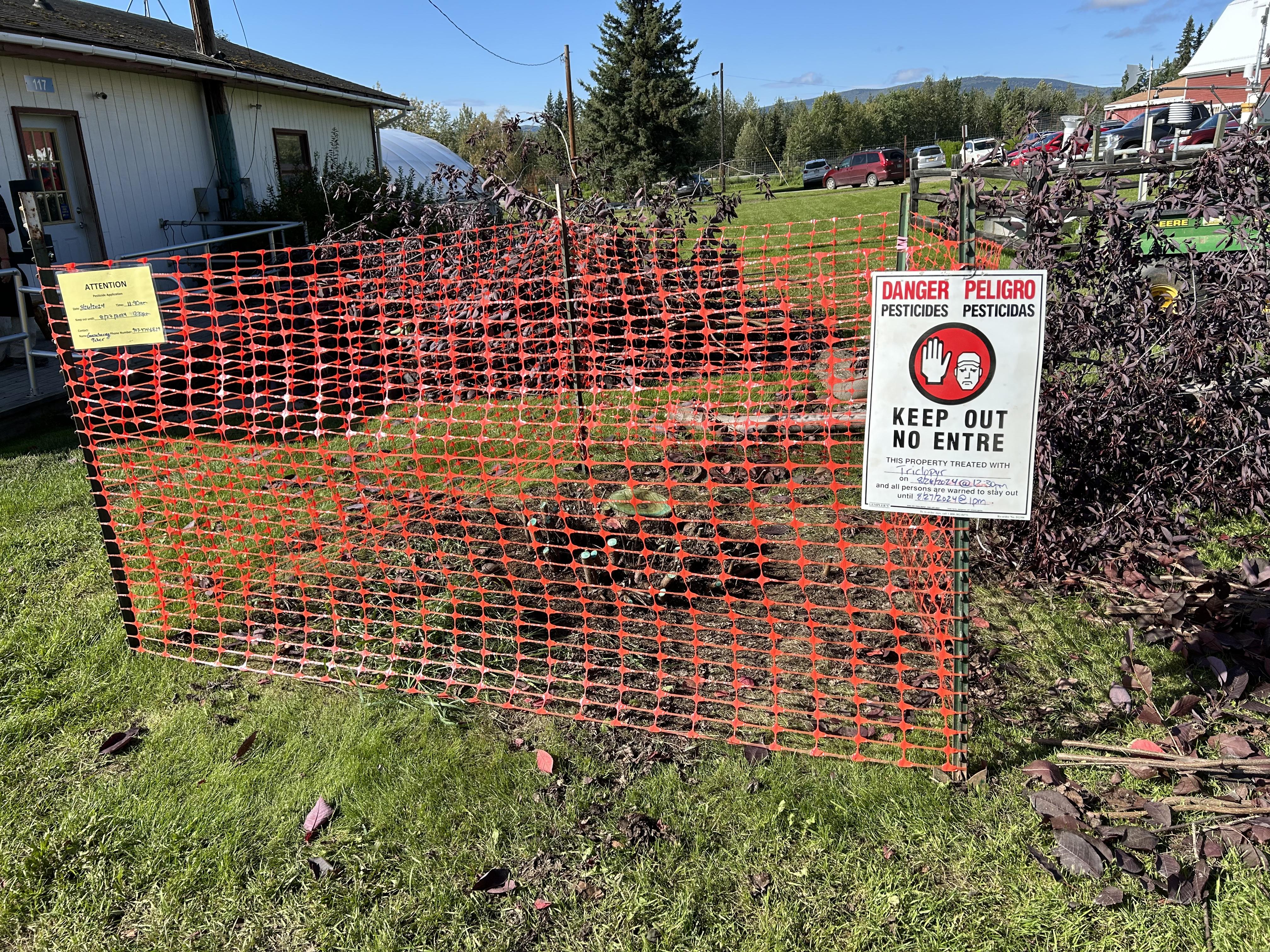 The site of a razed chokecherry is surrounded by an orange plastic fence and signs warning of herbicide use.